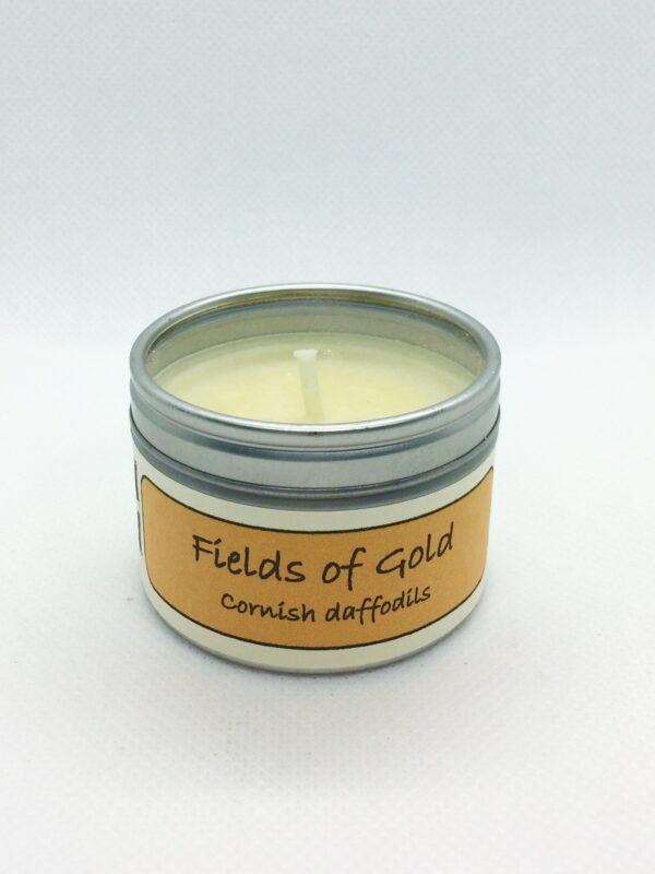 Candle Field of Gold